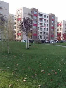 Servicii curatenie Bucuresti