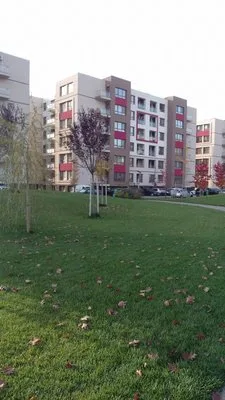 Servicii curatenie Bucuresti