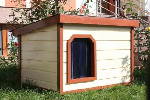 Magazin online casute catei - Brasov