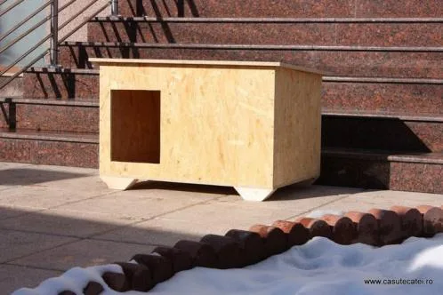 Magazin online casute catei - Brasov