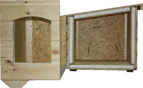 Magazin online casute catei - Brasov