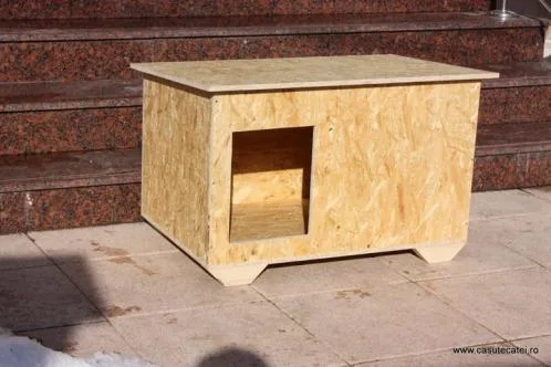 Magazin online casute catei - Brasov