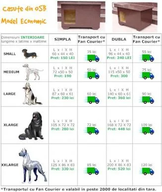 Magazin online casute catei - Brasov