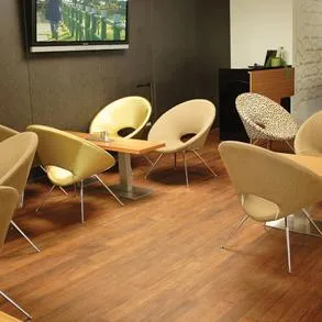 Parchet si pardoseli de lemn - Timisoara