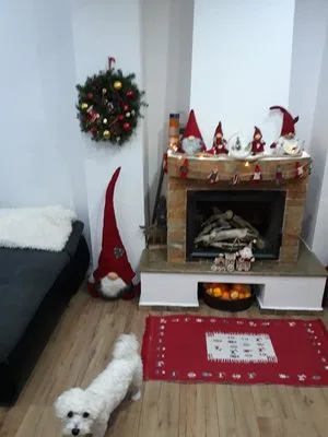 Seminee - gratare gradina - sobe - Bucuresti