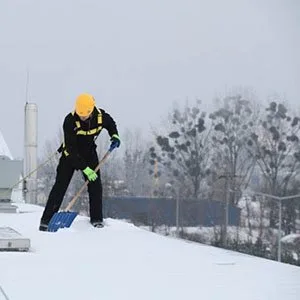 Alpinism utilitar Bucuresti