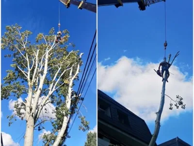 Alpinism Utilitar Bucuresti