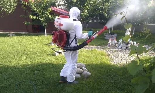 Deratizare - dezinsectie - dezinfectie Bucuresti