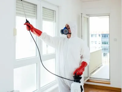 Deratizare - dezinsectie - dezinfectie Bucuresti