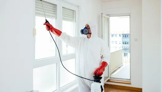 Deratizare - dezinsectie - dezinfectie Bucuresti