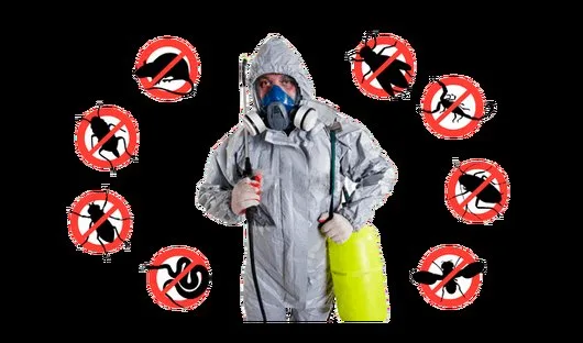 Deratizare - dezinsectie - dezinfectie Bucuresti