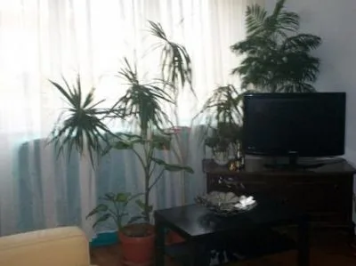 Agentie imobiliara Bucuersti