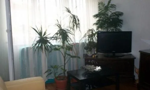 Agentie imobiliara Bucuersti