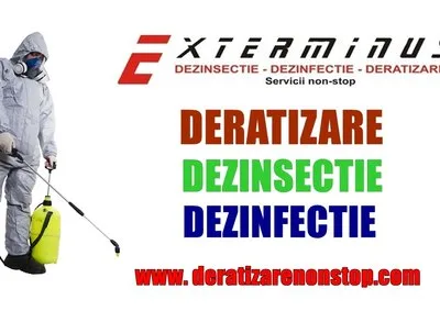 Deratizare - dezinsectie si dezinfectie Bucuresti - Ilfov