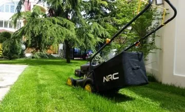 Amenajari si intretinere gradini