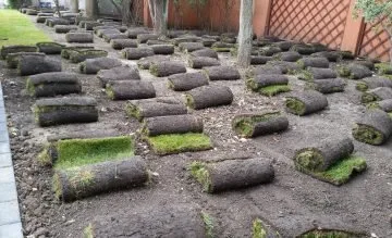 Amenajari si intretinere gradini