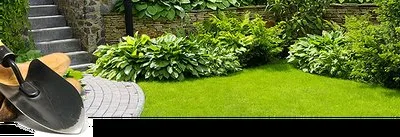 Amenajari si intretinere gradini