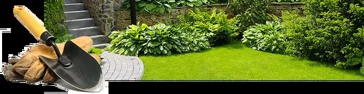 Amenajari si intretinere gradini