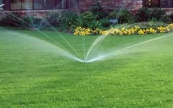 Amenajari si intretinere gradini