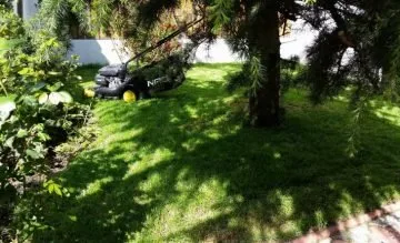 Amenajari si intretinere gradini