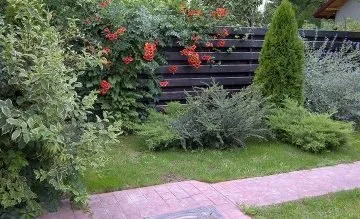 Amenajari si intretinere gradini