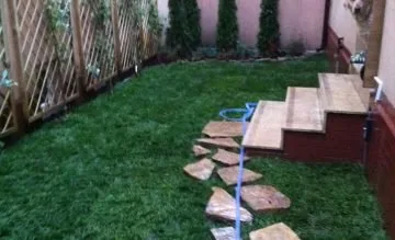 Amenajari si intretinere gradini