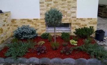 Amenajari si intretinere gradini