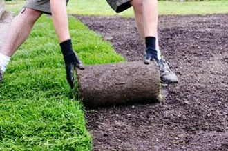 Amenajari si intretinere gradini