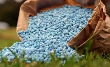 Amenajari si intretinere gradini