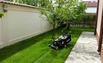 Amenajari si intretinere gradini