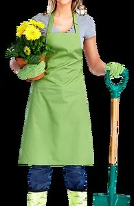 Amenajari si intretinere gradini