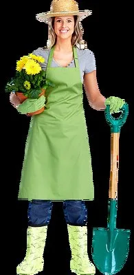 Amenajari si intretinere gradini