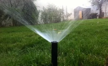 Amenajari si intretinere gradini