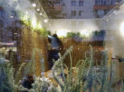 Arhitectura - peisagistica - design Bucuresti
