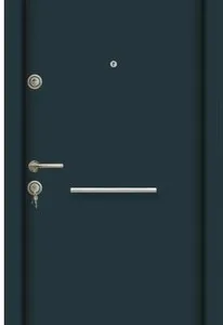 Usi metalice de interior si exterior - Afumati / Ilfov