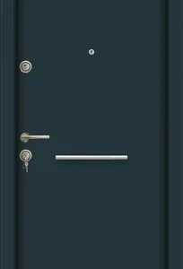 Usi metalice de interior si exterior - Afumati / Ilfov