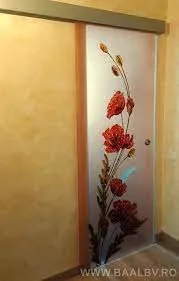 Comercializare usi celulare de interior si exterior - Sacele / Brasov