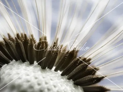 Fotografii de familie - copii si mamici