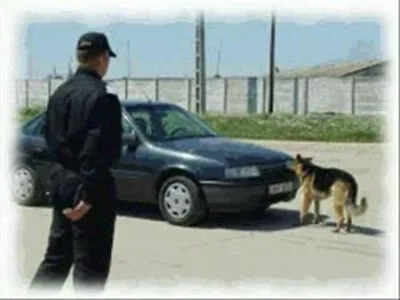 Agentie Paza si Protectie Bucuresti