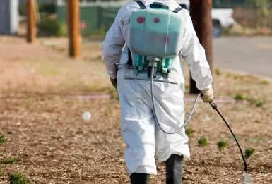 Servicii DDD Bistrita - Cluj