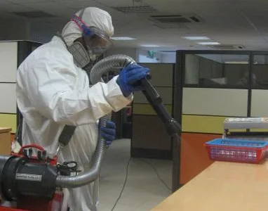 Servicii DDD Bistrita - Cluj