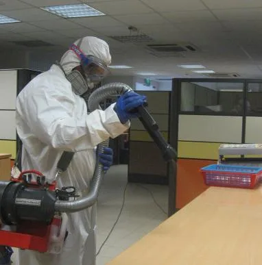 Servicii DDD Bistrita - Cluj