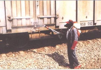 Servicii DDD Bistrita - Cluj