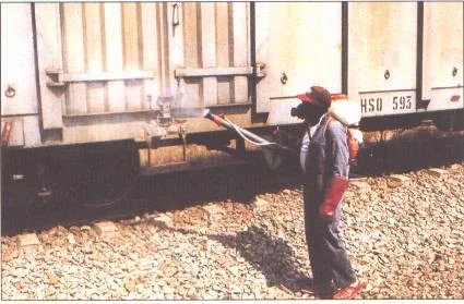 Servicii DDD Bistrita - Cluj