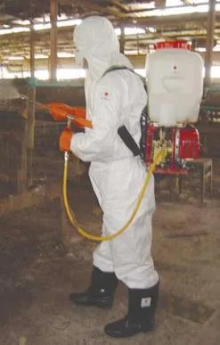 Servicii DDD Bistrita - Cluj