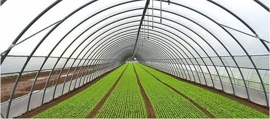 Produse metalurgice - sarma si produse din sarma - confectii usoare - Buzau