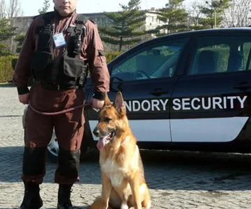 Agentie Paza si Protectie Bucuresti