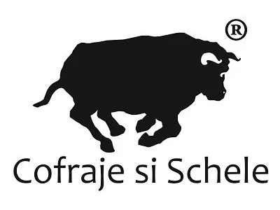 Inchirieri cofraje si schele - Rudeni / Ilfov