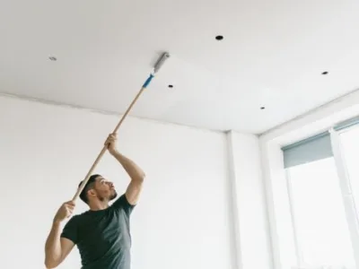 Zugraveli cu vopsele lavabile Bucuresti