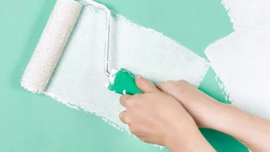 Zugraveli cu vopsele lavabile Bucuresti